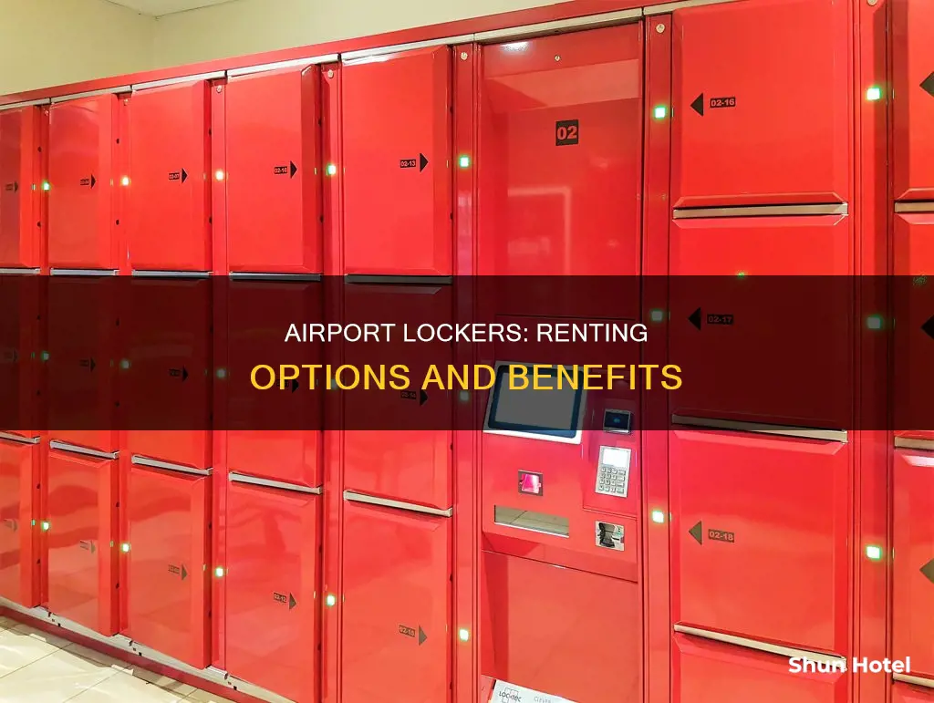 can you rent a locker at the airport