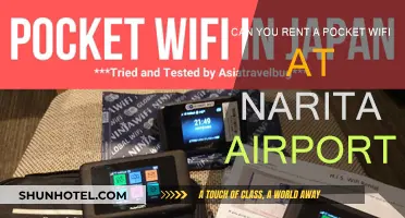Renting Pocket WiFi at Narita Airport: Is it Possible?