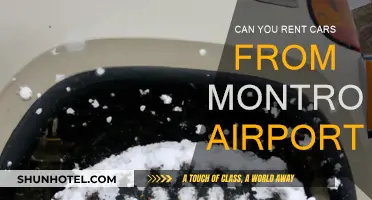 Montrose Airport: Renting Cars Directly at the Terminal