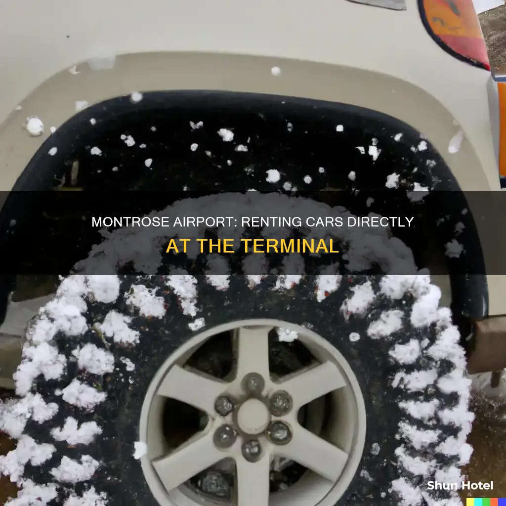 can you rent cars from montrose airport