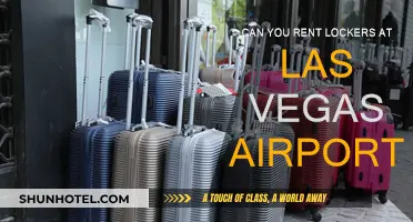 Las Vegas Airport: Locker Rentals for Travelers