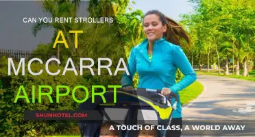 Renting Strollers: A Convenient Option at McCarran Airport