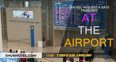 Navigating Airport Gate Transfers: Your Rights and Options