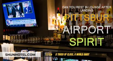 Lounge Access After Landing: Pittsburgh Airport Spirit