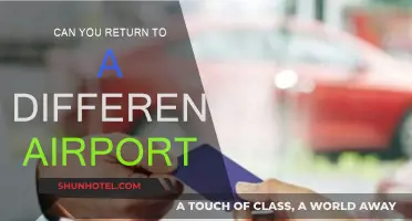 Returning to Alternate Airports: Is It Possible?