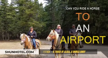 Horseback Riding to the Airport: Is It Possible?