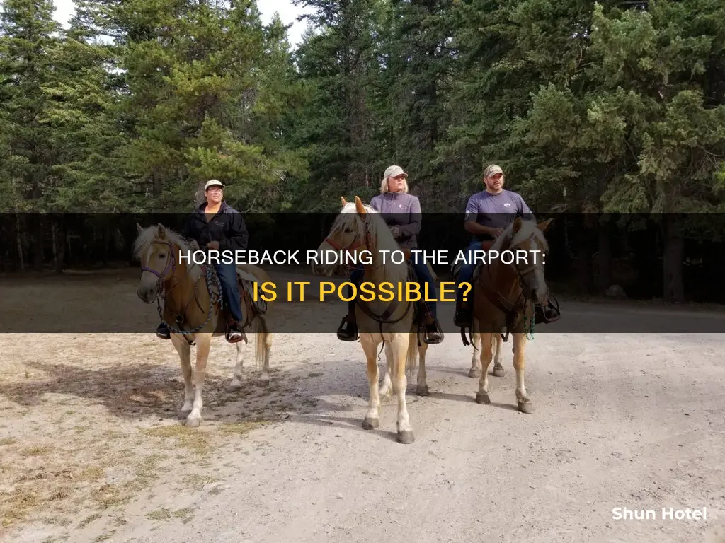 can you ride a horse to an airport