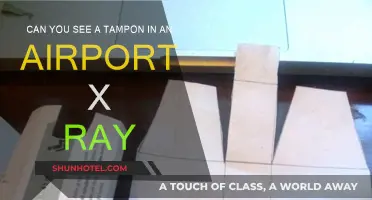 Airport Security: Tampons Visible in X-ray?