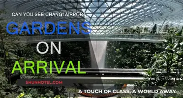 Explore Changi Airport Gardens on Arrival
