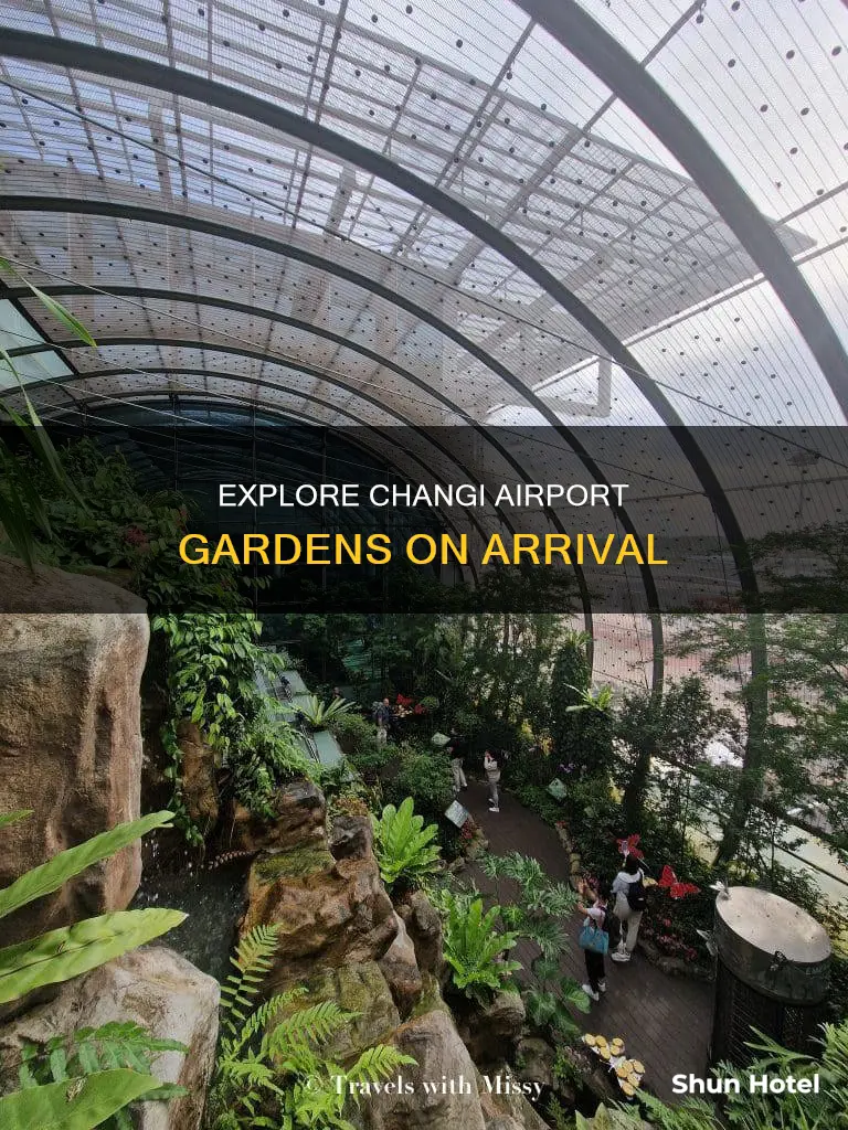 can you see changi airport gardens on arrival