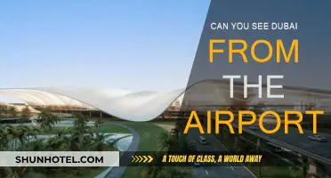 Dubai Views: Airport Vantage Point