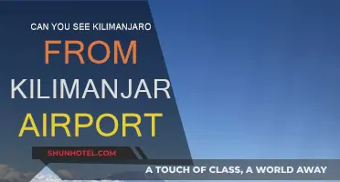 Kilimanjaro Views: Airport vs. Mountain
