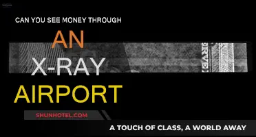 X-Ray Vision: Can Airport Scanners See Money?