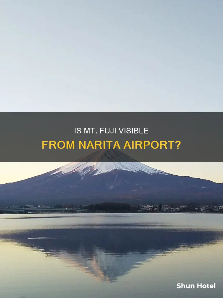 can you see mt fuji from narita airport