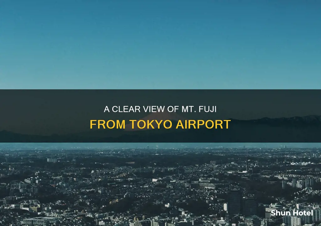 can you see mt fuji from tokyo airport