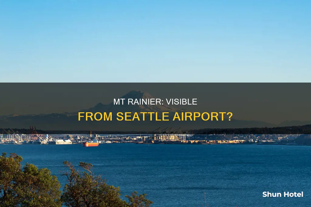 can you see mt rainier from seattle airport