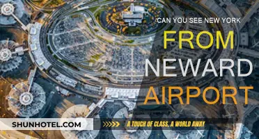 Newark Airport: Can You See NYC Skyline?