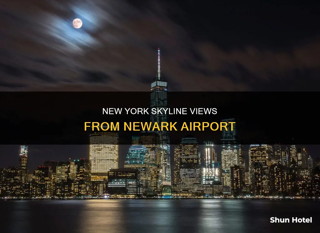can you see new york skyline from newark airport