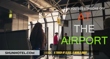How to Be the Perfect Airport Companion