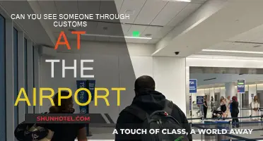 How to Guide a Loved One Through Customs