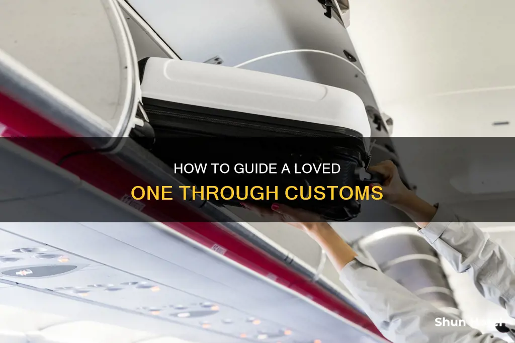 can you see someone through customs at the airport
