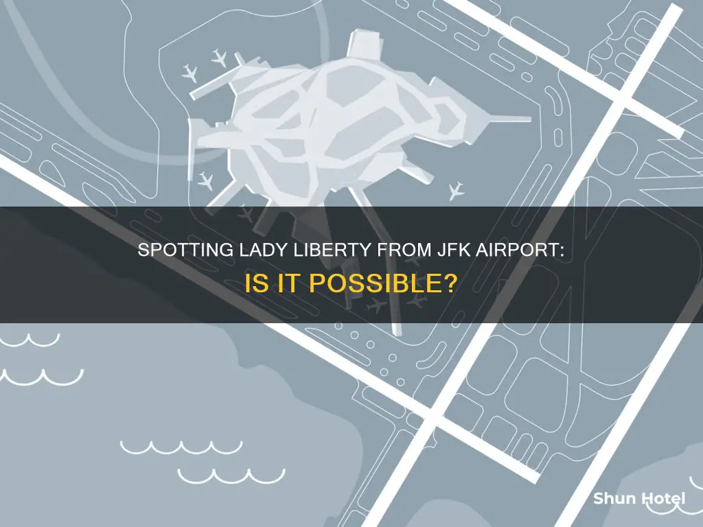 can you see statue of liberty from jfk airport