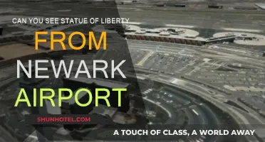 Lady Liberty: Visible from Newark Airport?