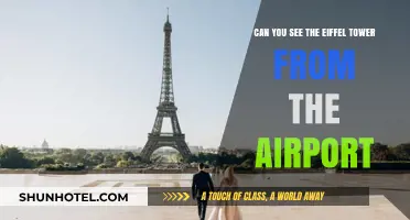 A Quick Glimpse of Eiffel Tower from Airport?