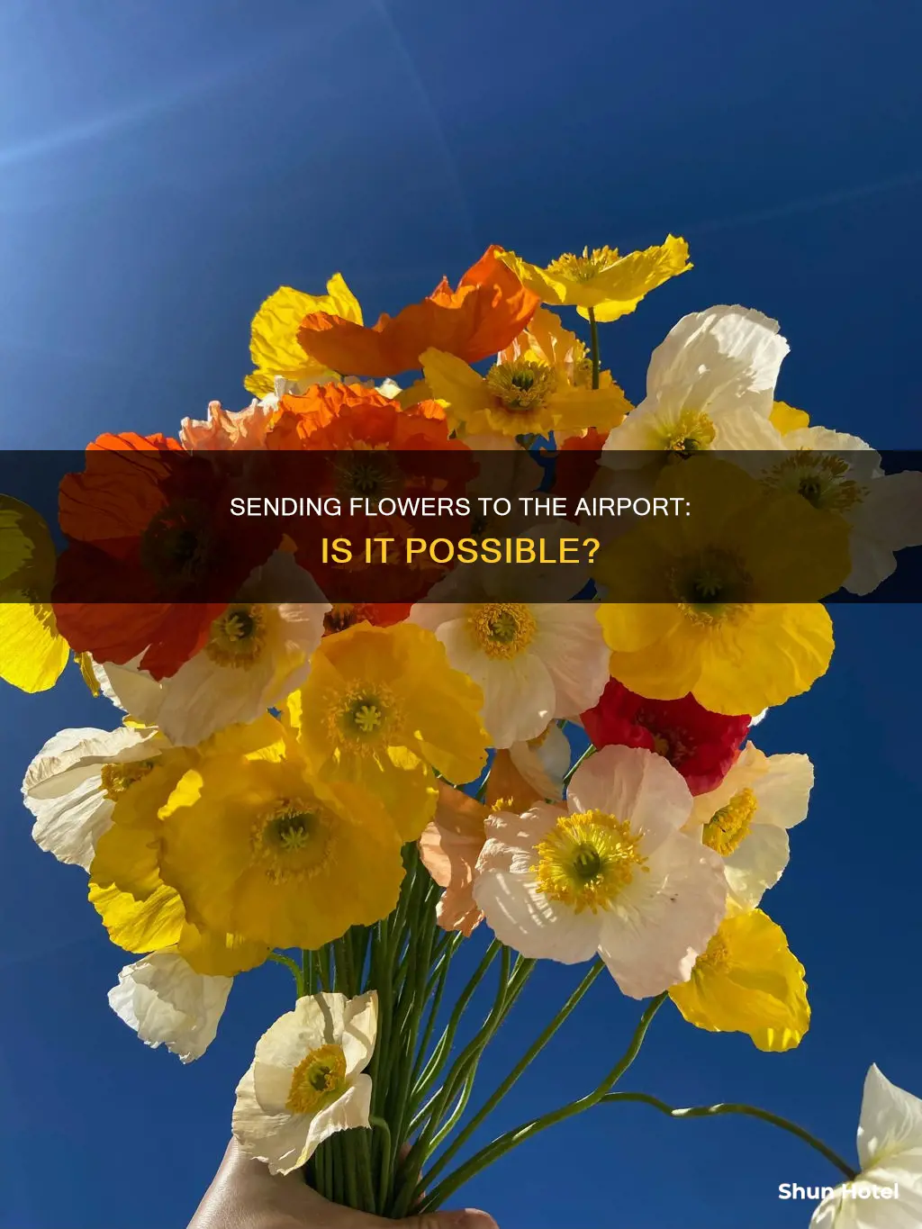 can you send flowers to the airport