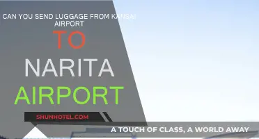 Luggage Transfer: Kansai to Narita Airport