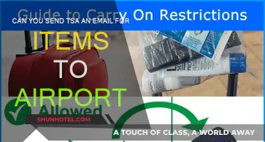 TSA Email Recovery: How to Retrieve Items?