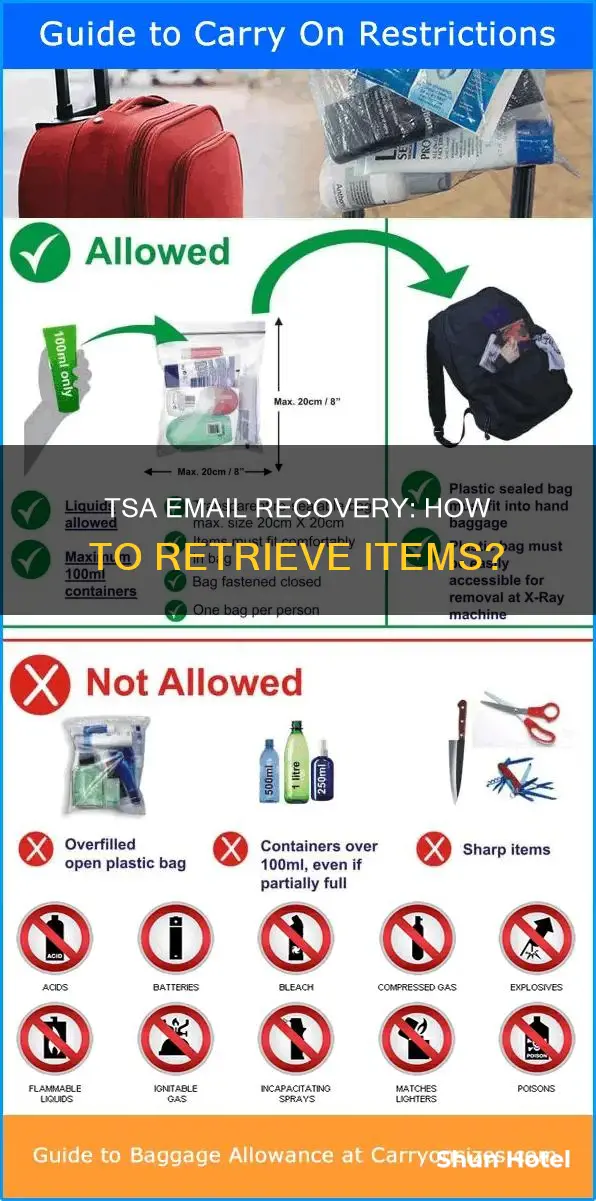 can you send tsa an email for items to airport