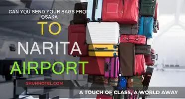Sending Luggage from Osaka to Narita Airport