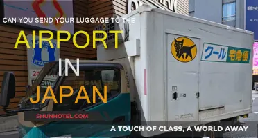 Japan's Airport Luggage Delivery Services: How They Work