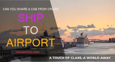 Cruise Ship to Airport: Sharing a Cab?