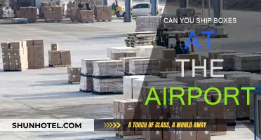 Shipping Boxes: Airport Convenience or Inconvenience?