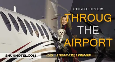 Shipping Pets: Airport Options and Procedures