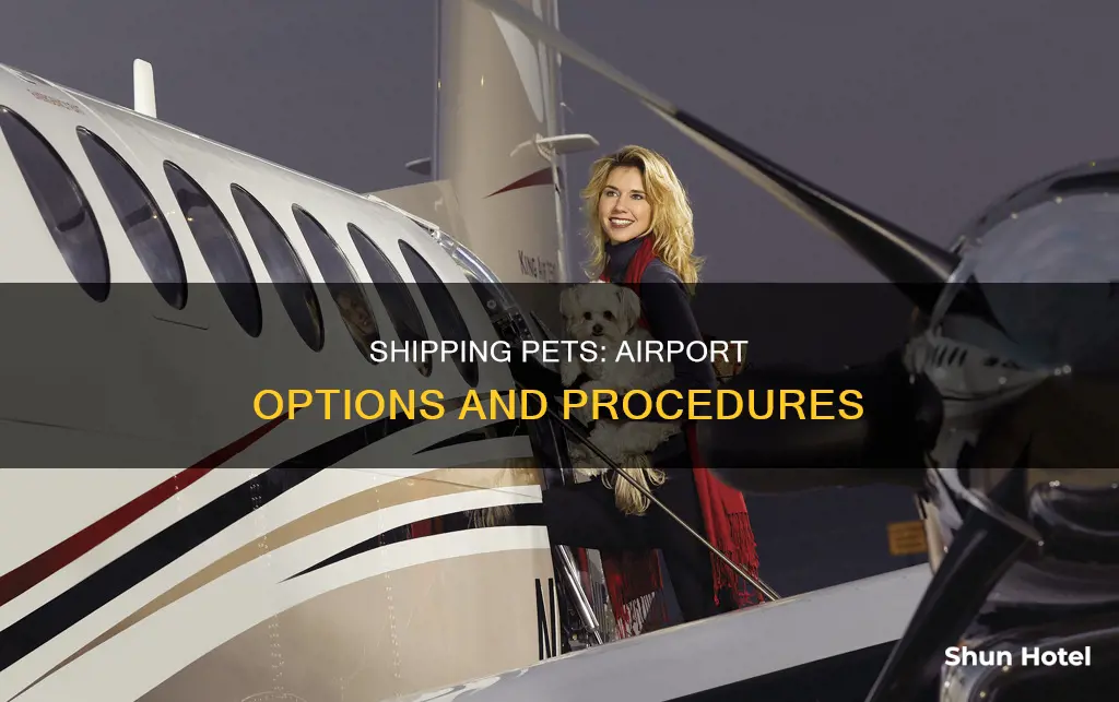 can you ship pets through the airport