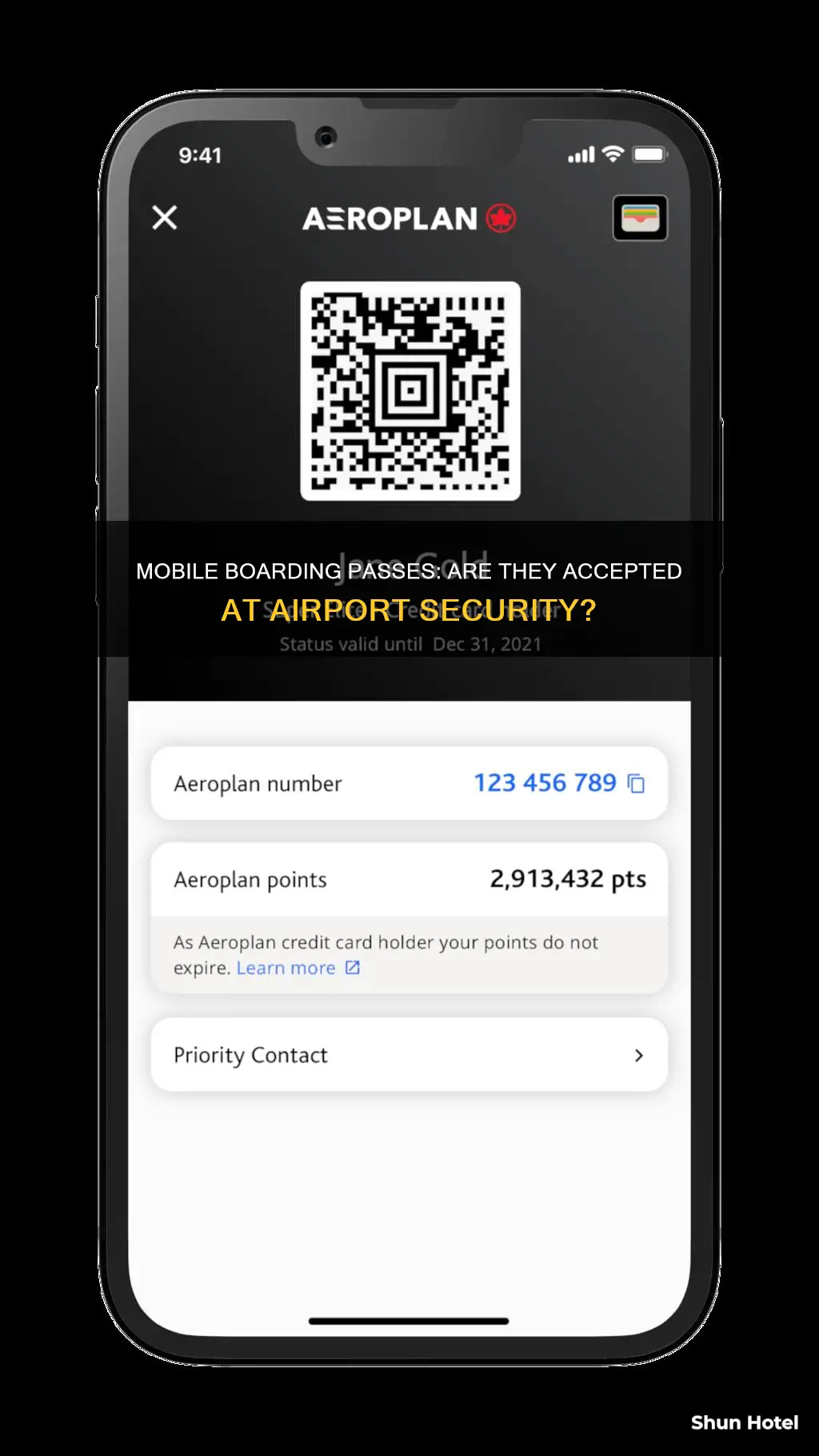 can you show ticket on phone at airport security