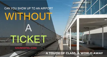 How to Navigate Airport Security Without a Ticket