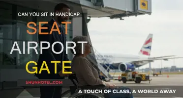 Handicap Airport Seating: Who Can Sit There?