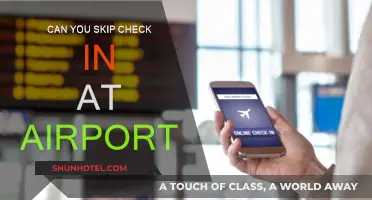 Skipping Airport Check-In: Is It Possible?
