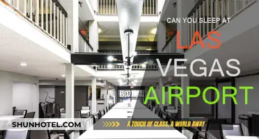 Las Vegas Airport: Sleep or No Sleep?