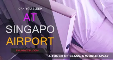 Singapore Airport: Sleep or No Sleep?