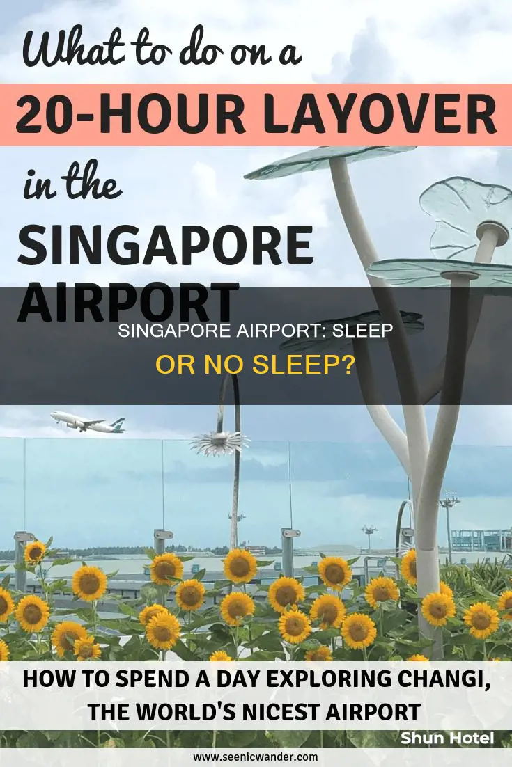 can you sleep at singapore airport