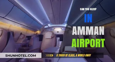 A Good Night's Sleep at Amman Airport