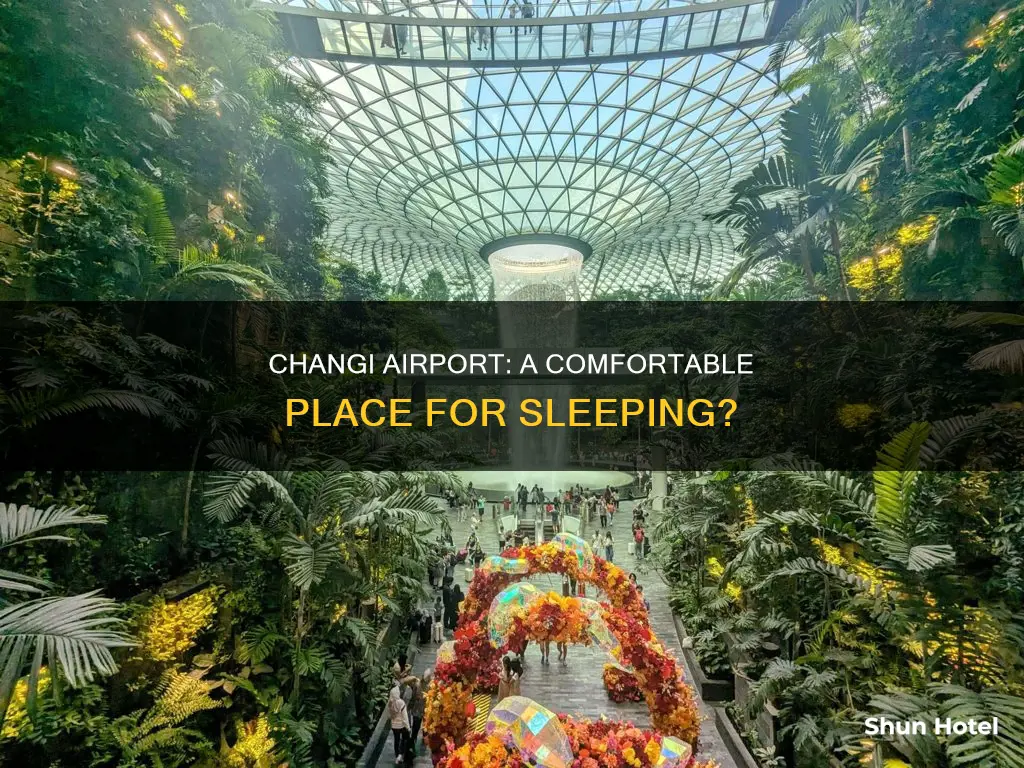 can you sleep in changi airport
