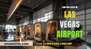 Las Vegas Airport: Sleep or No Sleep?