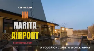 Sleeping at Narita Airport: A Comfortable Option?