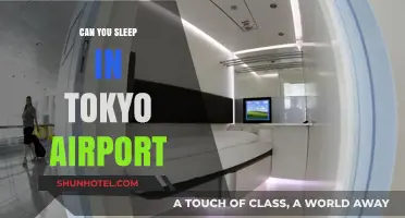 Tokyo Airport: Sleep or No Sleep?